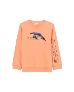 MAJICA D.RUKAV ARCTIC KIDS 122 DECACI