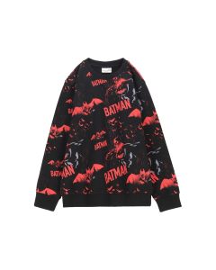 DUKSERICA LICENCE  BATMAN 104 DECACI