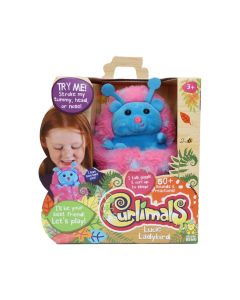 IGRACKA CURLIMALS BUBAMARA LUSI